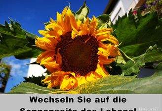 Wechseln Sie auf die Sonnenseite!