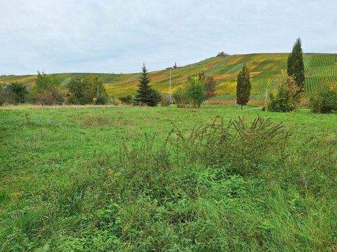 Weinstadt Grundstücke, Weinstadt Grundstück kaufen