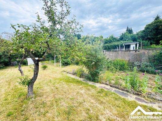 Garten mit Apfelbaum