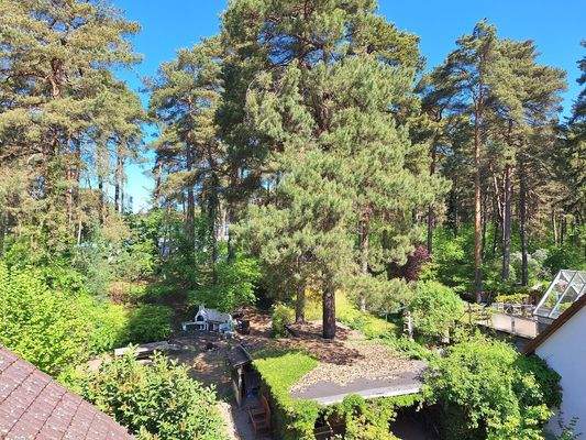 Ausblick auf Grundstück