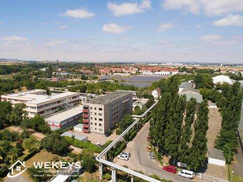 Erfurt Wohnungen, Erfurt Wohnung mieten
