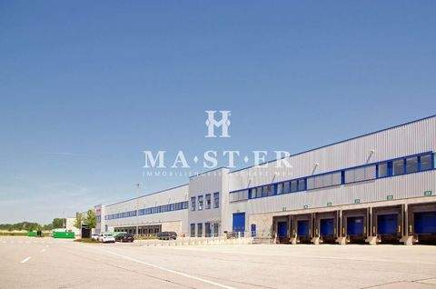 Falkensee Halle, Falkensee Hallenfläche