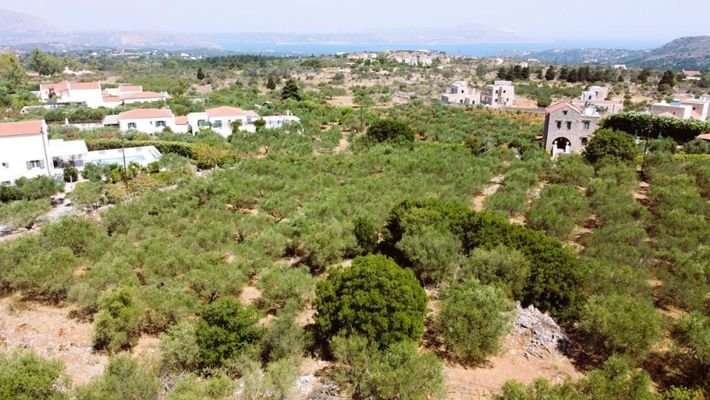 Kreta, Litsarda: Erstklassiges Grundstück zum Verkauf in Apokoronas mit Baugenehmigung und atemberaubender Aussicht