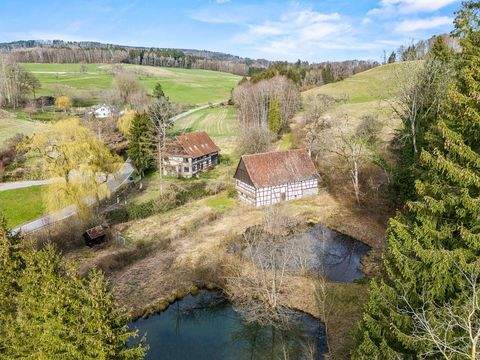 Salem-Beuren Häuser, Salem-Beuren Haus kaufen