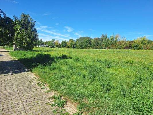 Blick über das Grundstück