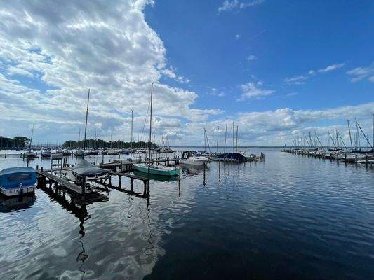ganz nah: das Steinhuder Meer