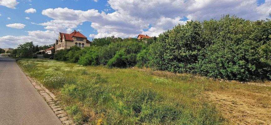 Südöstlicher Grundstücksteil