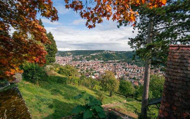 Zeitwohnen Stuttgart Villa Wohnung mieten (17).jpg