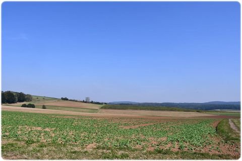 Haina (Kloster) Bauernhöfe, Landwirtschaft, Haina (Kloster) Forstwirtschaft