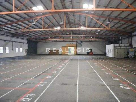 Celle Halle, Celle Hallenfläche