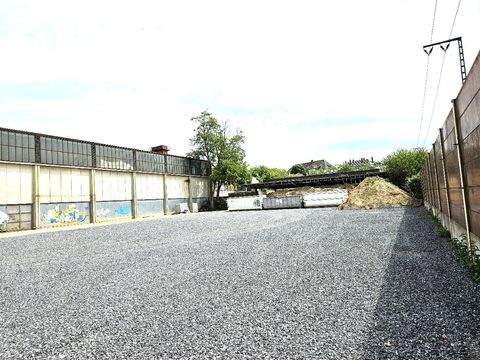 Mannheim Halle, Mannheim Hallenfläche