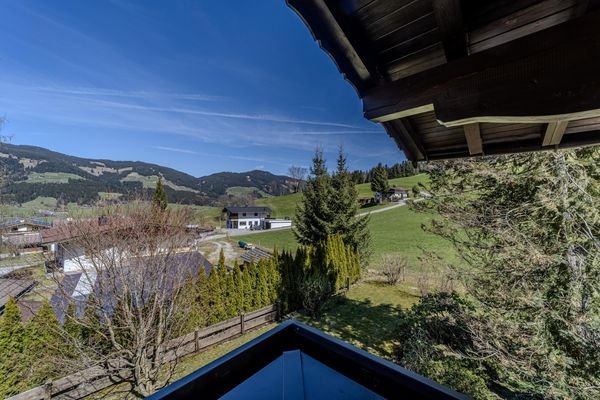 Ausblick