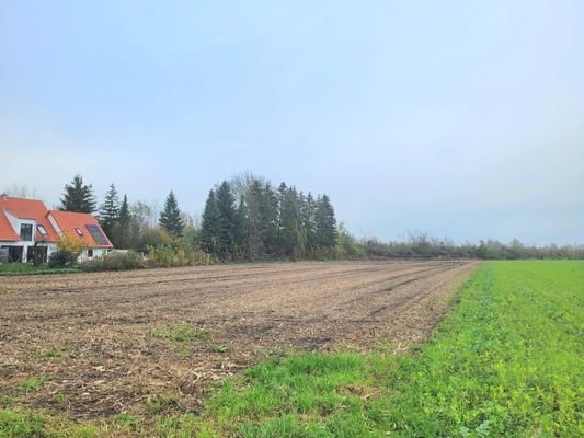 Landwirtschaftliches Grundstück