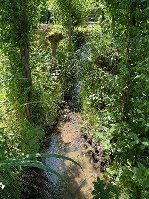 Bach fließt durch Garten