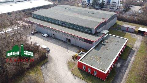 Erfurt Halle, Erfurt Hallenfläche