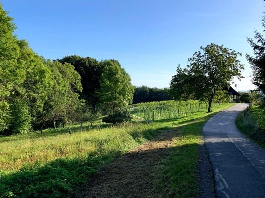 Grund und Obstgarten