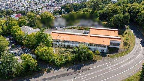 Idar-Oberstein Halle, Idar-Oberstein Hallenfläche