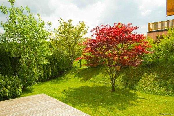 Garten-Terrasse.jpg