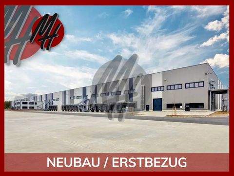 Alsdorf Halle, Alsdorf Hallenfläche