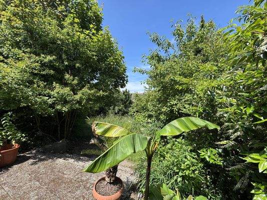 Blick in den Garten
