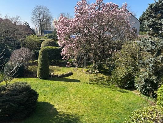 Ausschnitt Garten