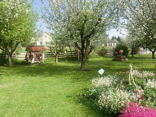 frühlingshaftes Blütenmeer