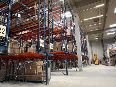 Neumünster Halle, Neumünster Hallenfläche