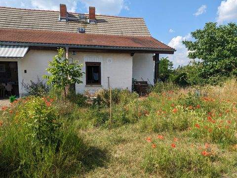 Könnern Häuser, Könnern Haus kaufen