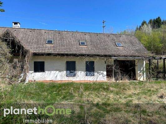 großes Wohnhaus-Garten_1