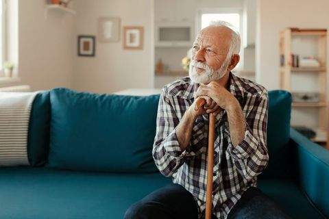 Dresden Wohnungen, Dresden Wohnung mieten