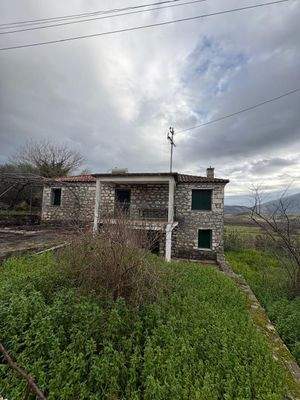 WhatsApp Image 2026-01-05 at 11.42.30 (2).jpeg