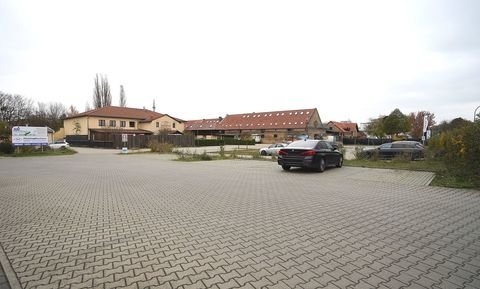 Strausberg Halle, Strausberg Hallenfläche