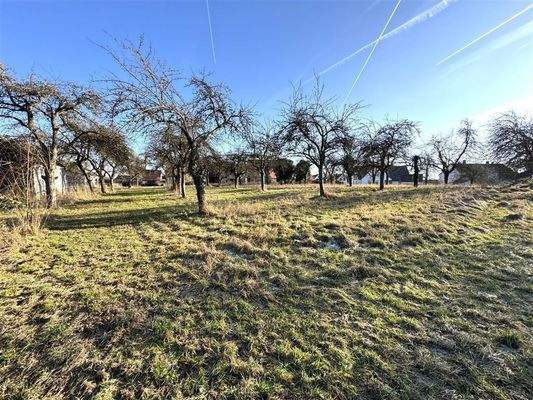 Grundstück mit Obstbäumen