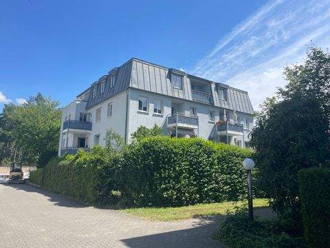 Dresden Wohnungen, Dresden Wohnung mieten