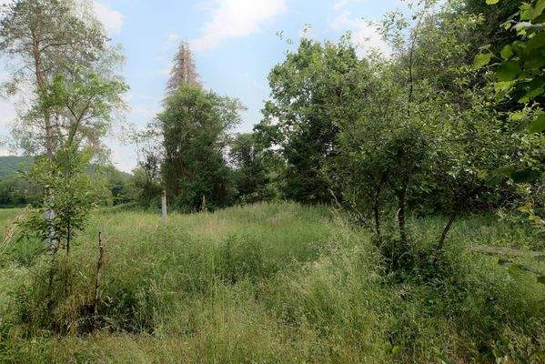 Trierer Straße 45/45a – 55767 Brücken