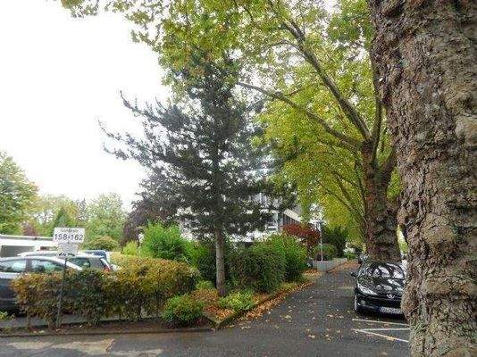 ruhige Wohnlage mit altem Baumbestand