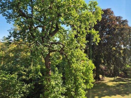 Ausblick vom Schlafzimmer 1