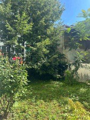 1d680f68-2b68-4028-8