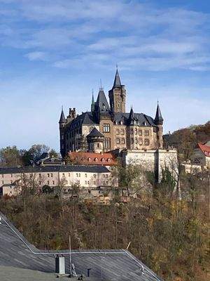 Blick zum Schloß.jpg