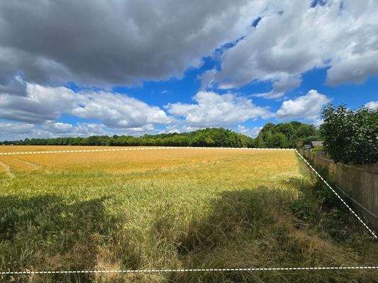 Grundstücksgrenze zur Kleingartensiedlung