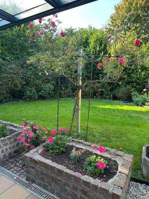 IMG_7396 - Kopie - Kopie.jpeg