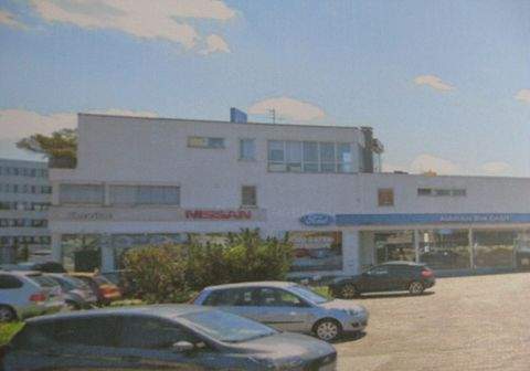 Sindelfingen Halle, Sindelfingen Hallenfläche