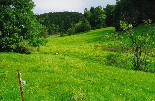 Teilansicht mit Ebertsbach