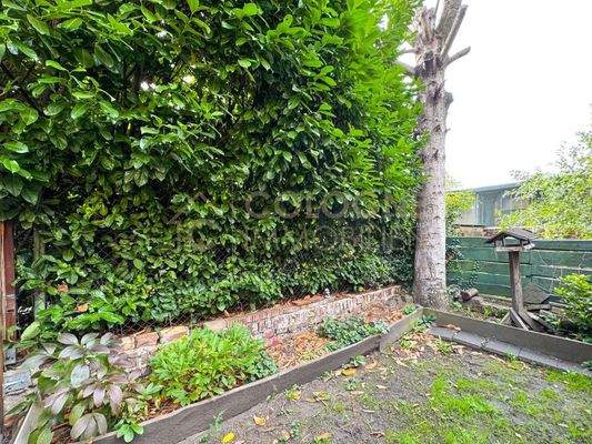 Rasenfläche im Hinterhof