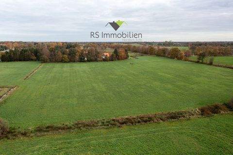 Neuschoo Bauernhöfe, Landwirtschaft, Neuschoo Forstwirtschaft