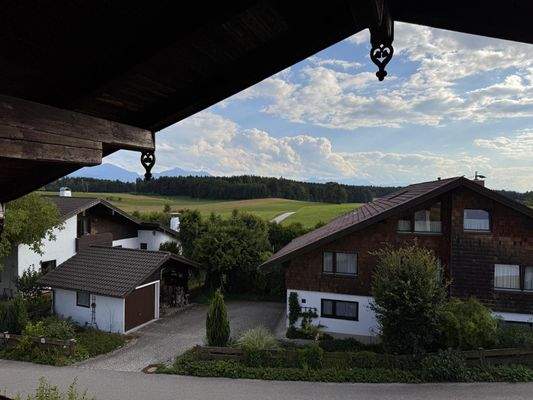 WhatsApp Bild 2025-07-31 um 12.17.23_2eff1119.jpg