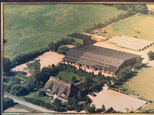 15. Anwesen aus 1990.jpg