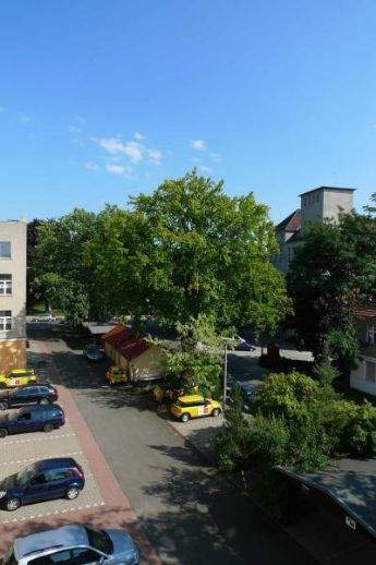 Cottbus Wohnungen, Cottbus Wohnung mieten