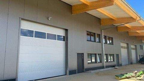 Egestorf Halle, Egestorf Hallenfläche