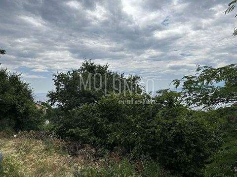 Turan - Kantrida - Costabella Bauernhöfe, Landwirtschaft, Turan - Kantrida - Costabella Forstwirtschaft